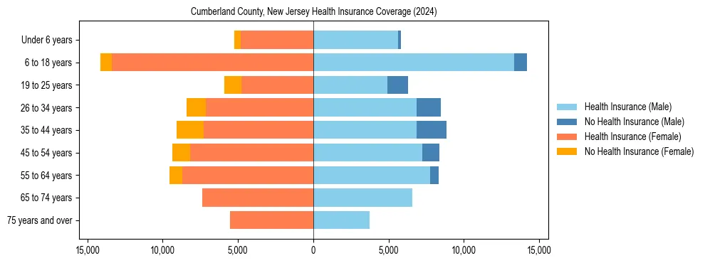 Health insurance pyramid for Cumberland County, New Jersey
