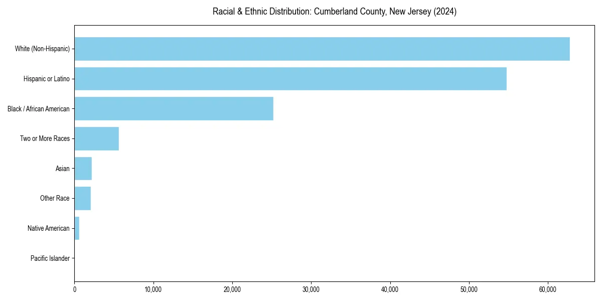 Bar chart showing racial distribution in  for 2024
