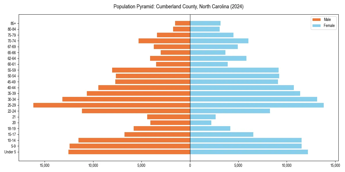Population pyramid for 