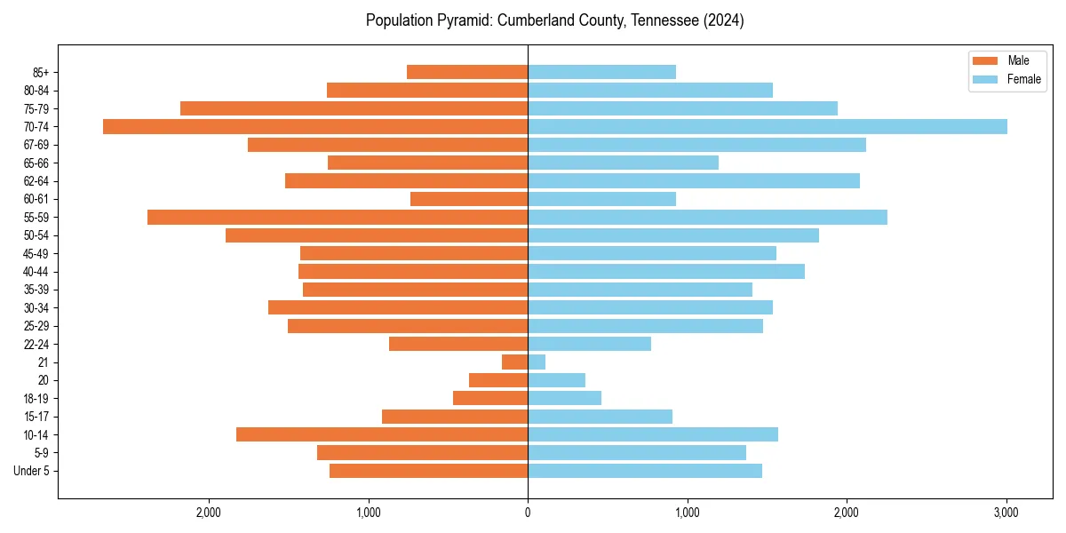 Population pyramid for 