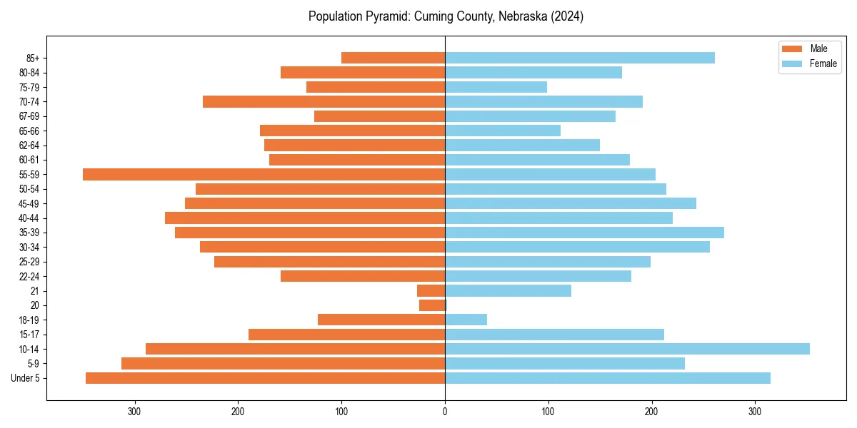 Population pyramid for 