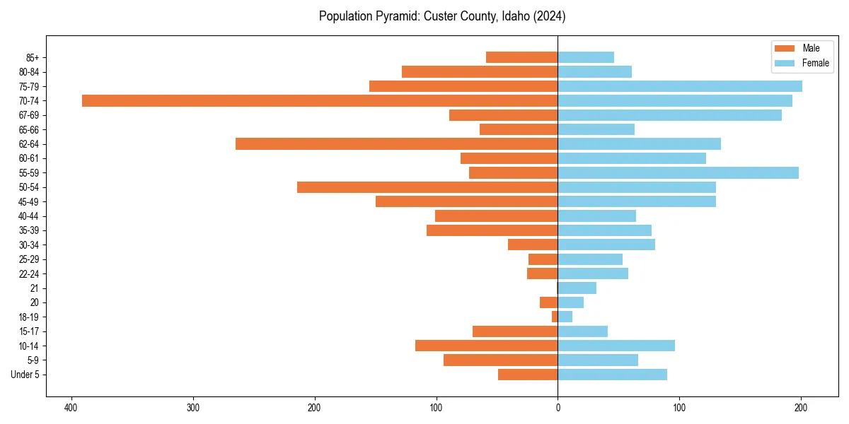 Population pyramid for 