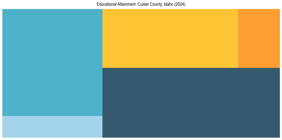 Education Treemap for  in 2024