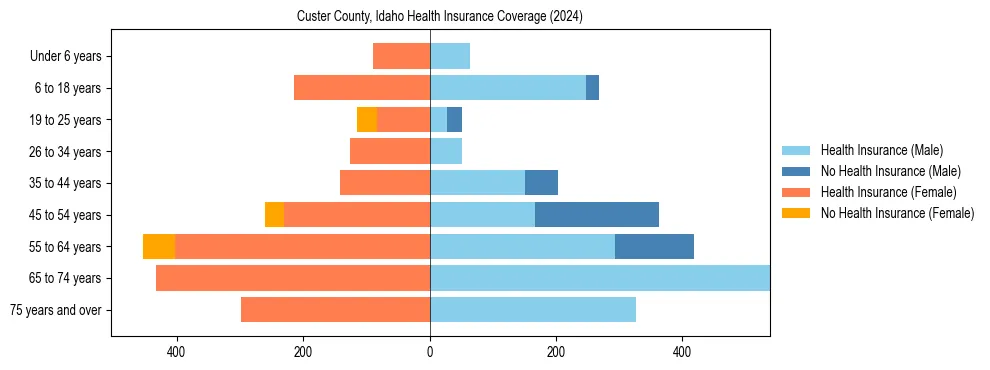 Health insurance pyramid for Custer County, Idaho