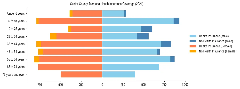 Health insurance pyramid for Custer County, Montana