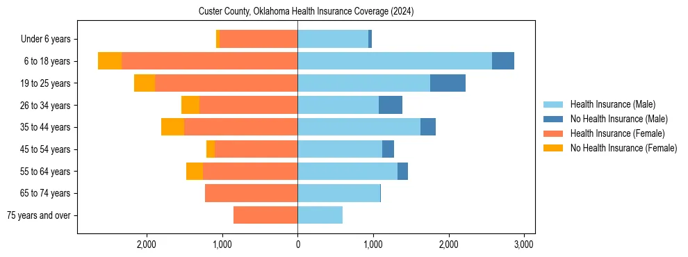 Health insurance pyramid for Custer County, Oklahoma