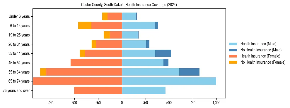 Health insurance pyramid for Custer County, South Dakota