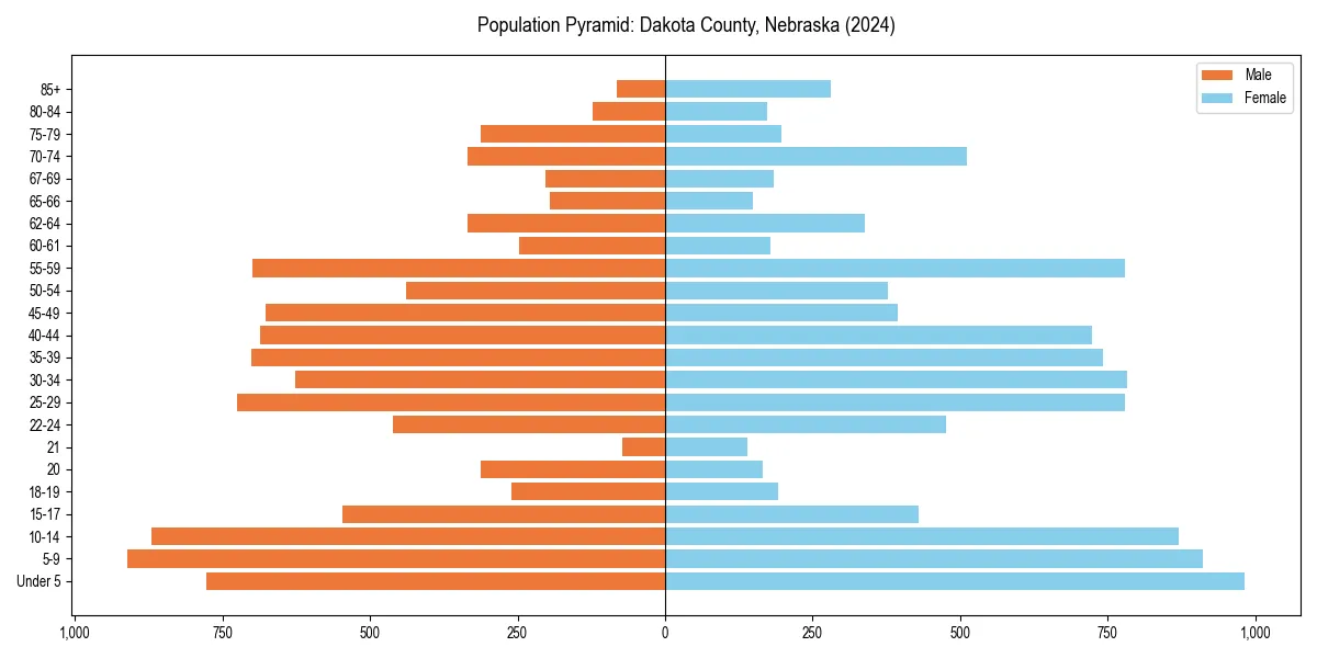 Population pyramid for 