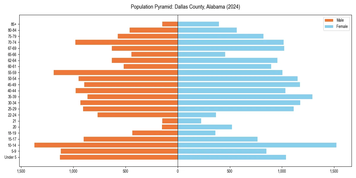 Population pyramid for 