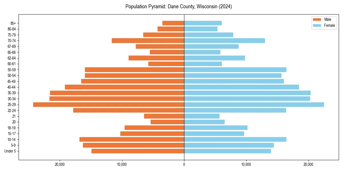 Population pyramid for 