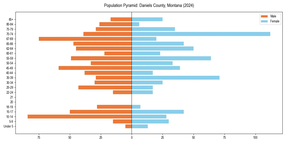 Population pyramid for 