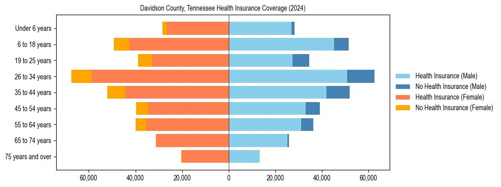 Health insurance pyramid for Davidson County, Tennessee