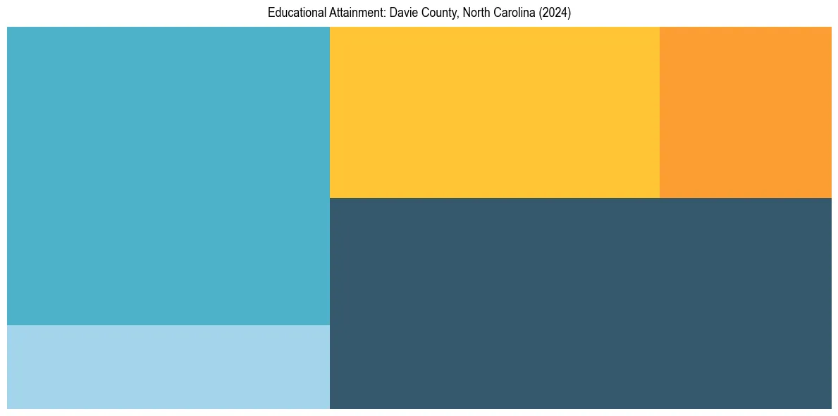 Education Treemap for  in 2024