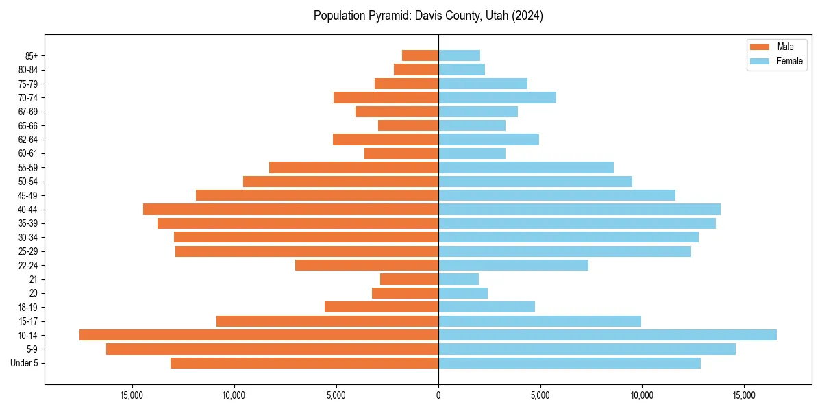 Population pyramid for 