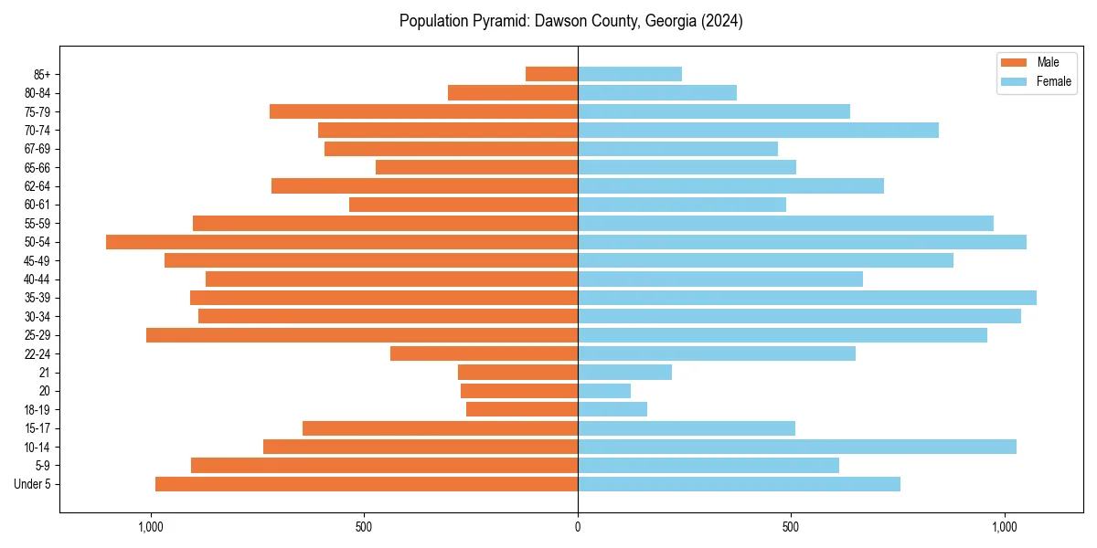 Population pyramid for 