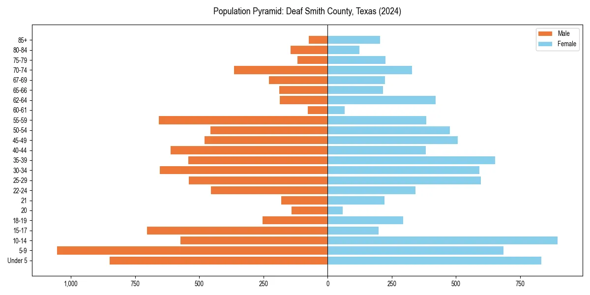 Population pyramid for 