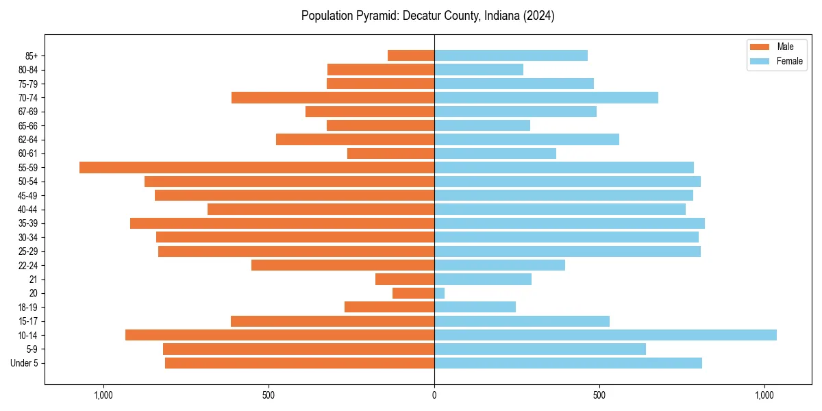 Population pyramid for 