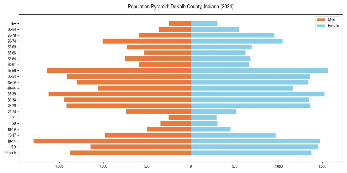 Population pyramid for 