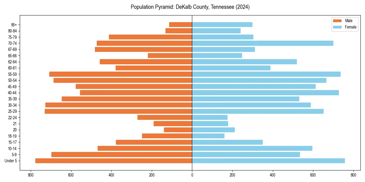 Population pyramid for 