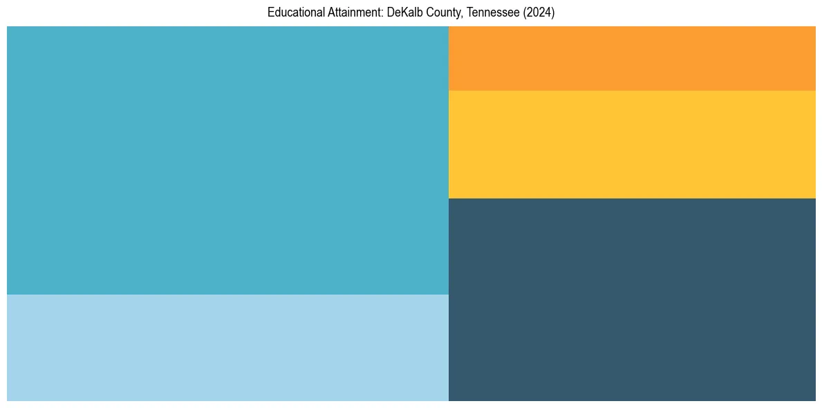 Education Treemap for  in 2024