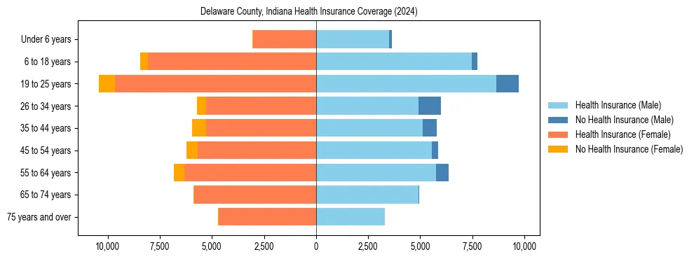 Health insurance pyramid for Delaware County, Indiana