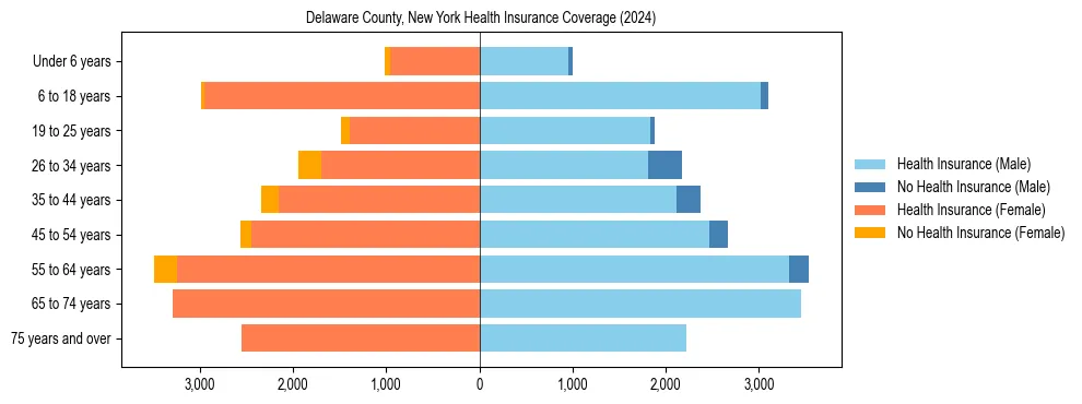 Health insurance pyramid for Delaware County, New York