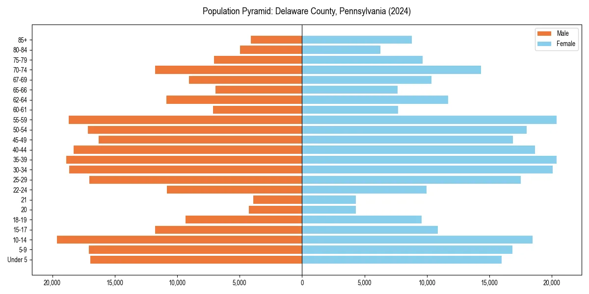Population pyramid for 