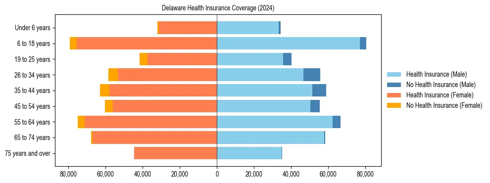 Health insurance pyramid for Delaware