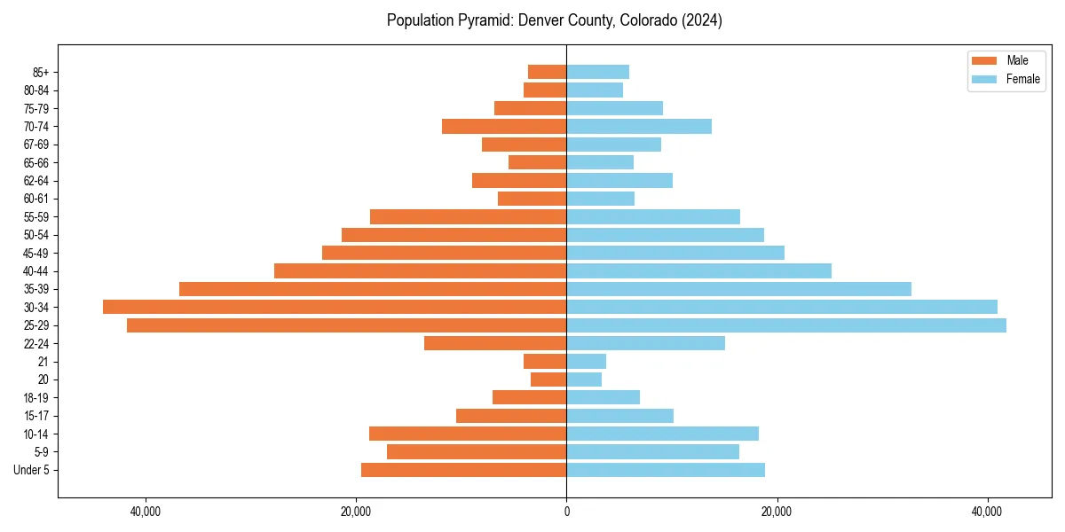 Population pyramid for 