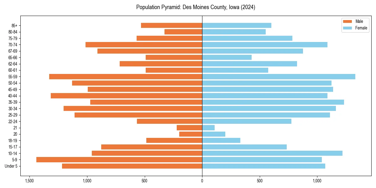 Population pyramid for 