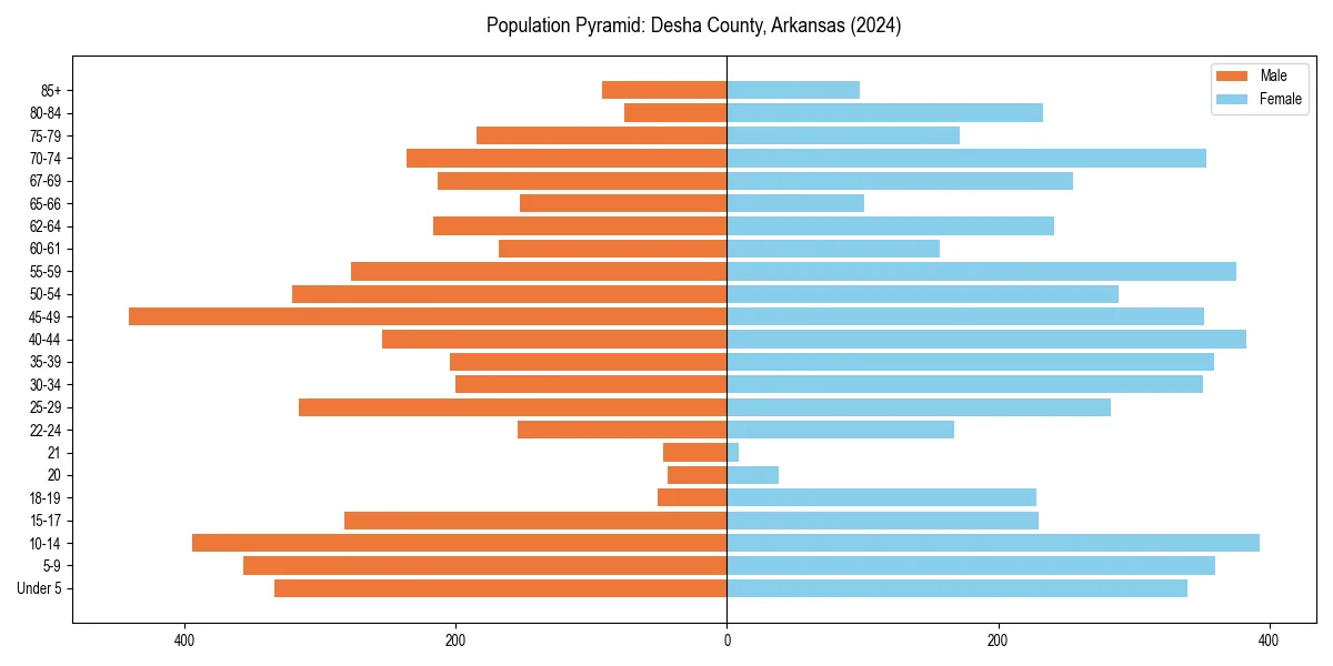 Population pyramid for 