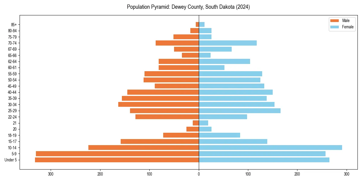 Population pyramid for 