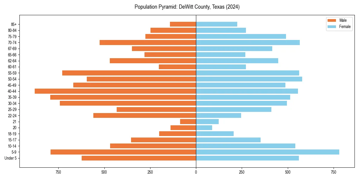 Population pyramid for 