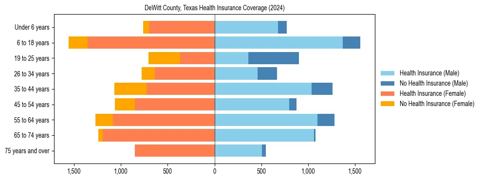 Health insurance pyramid for DeWitt County, Texas