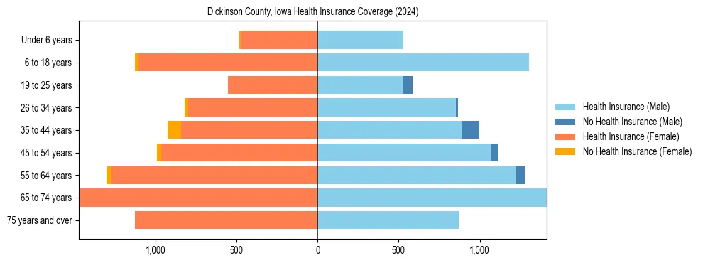 Health insurance pyramid for Dickinson County, Iowa