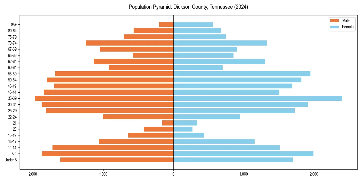 Population pyramid for 
