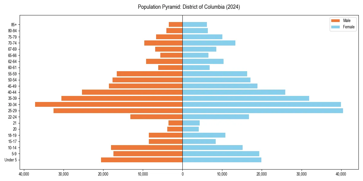 Population pyramid for 