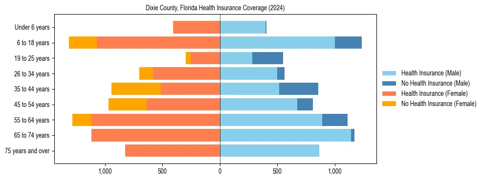 Health insurance pyramid for Dixie County, Florida