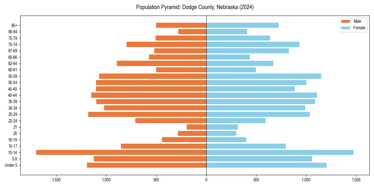 Population pyramid for 