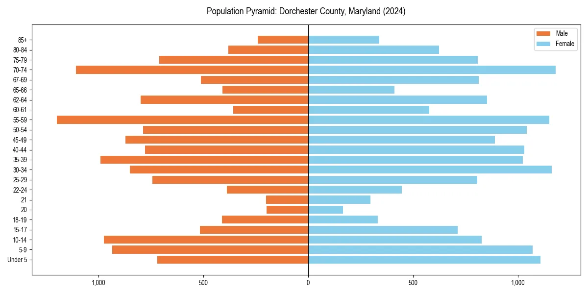 Population pyramid for 