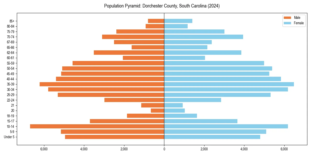 Population pyramid for 