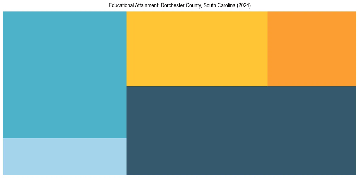 Education Treemap for  in 2024