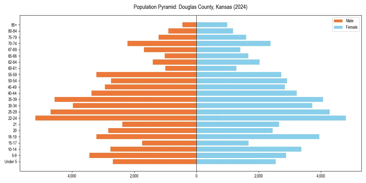 Population pyramid for 