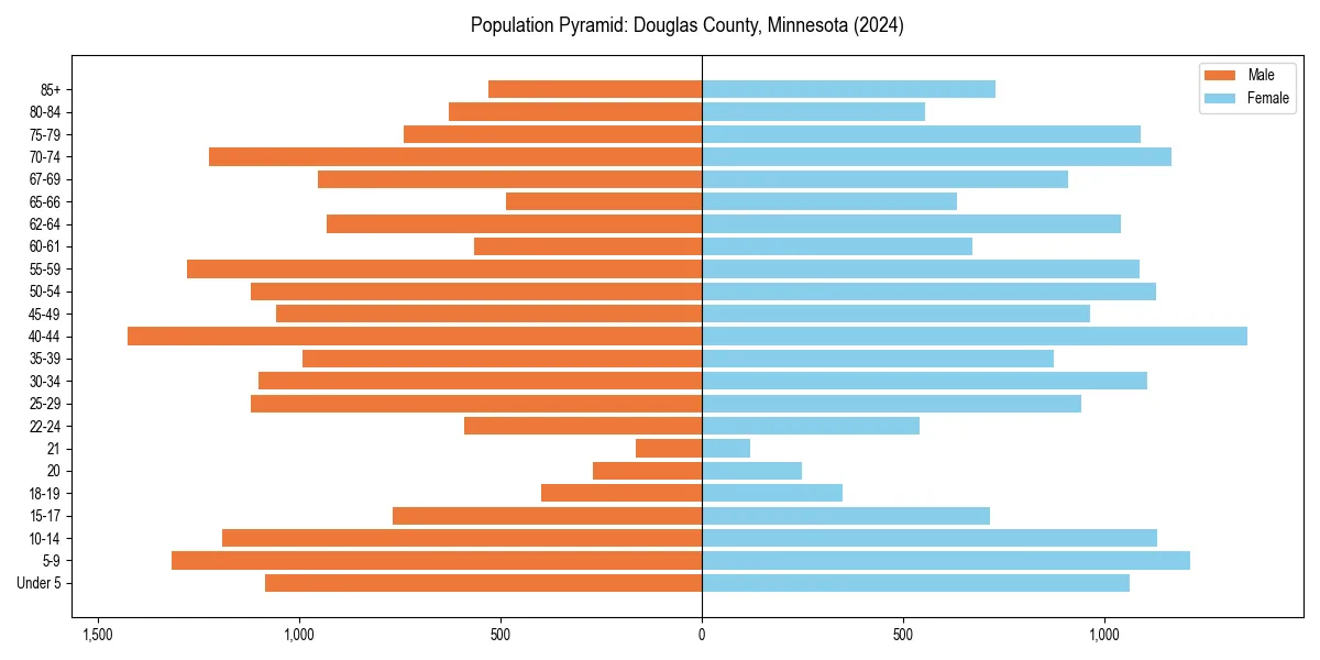 Population pyramid for 
