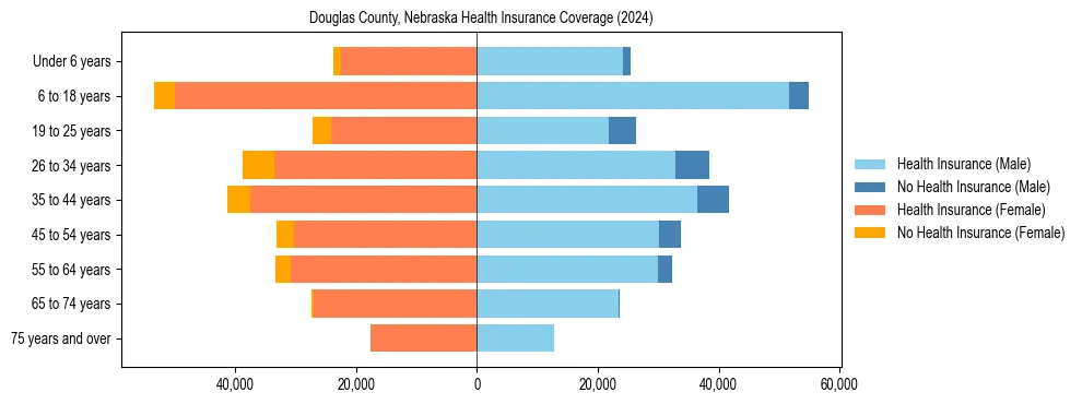 Health insurance pyramid for Douglas County, Nebraska