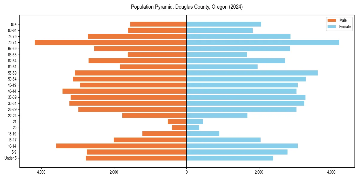Population pyramid for 