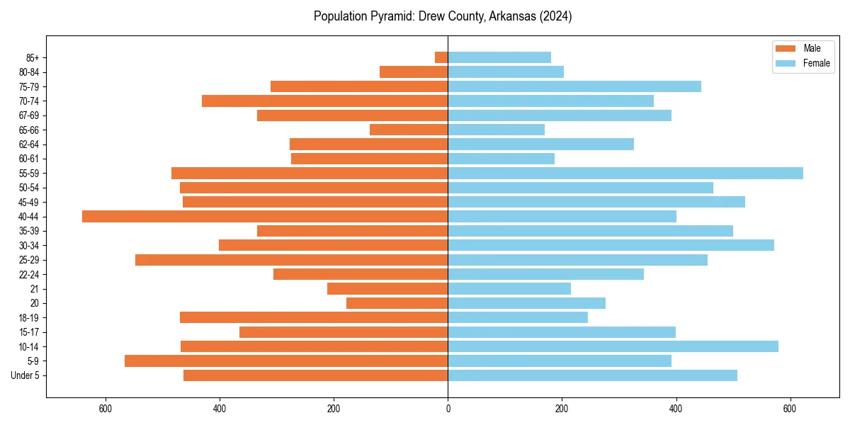 Population pyramid for 