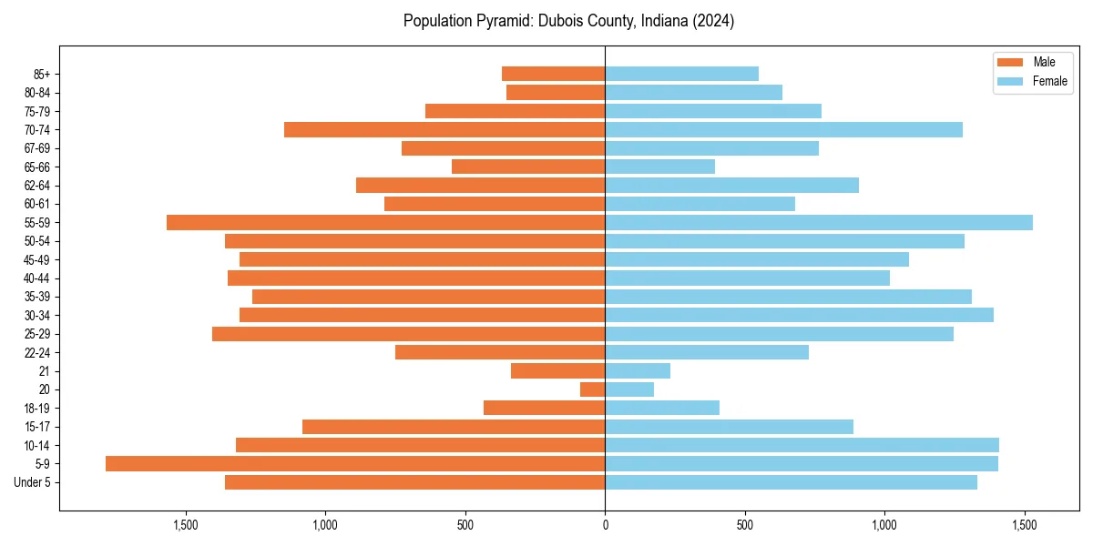 Population pyramid for 