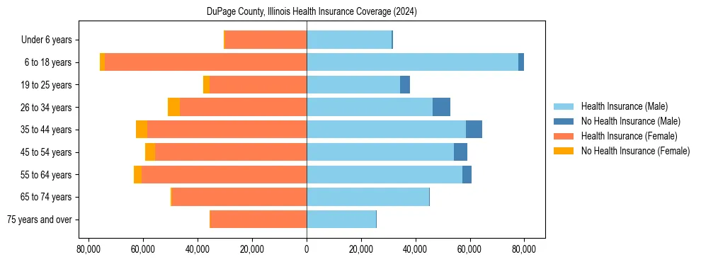 Health insurance pyramid for DuPage County, Illinois