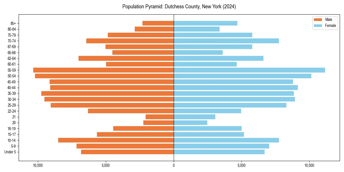 Population pyramid for 
